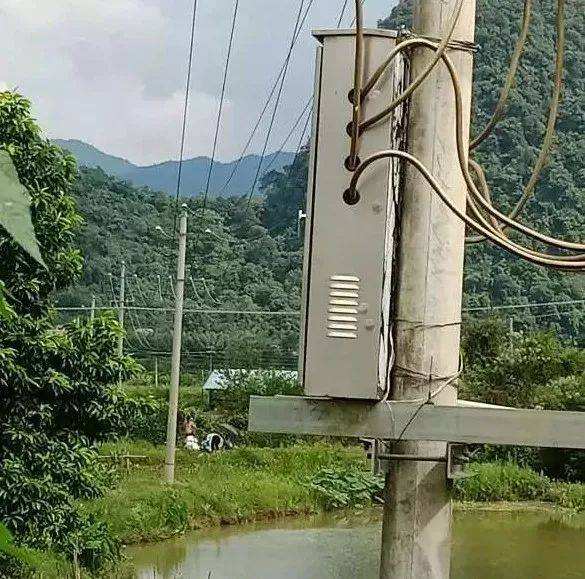 被電傷的變壓器現場